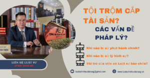 Luật sư _ Tội trộm cắp tài sản.